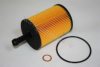 AUTOMEGA 301150562071A Oil Filter